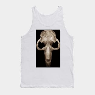 muskrat skull Tank Top